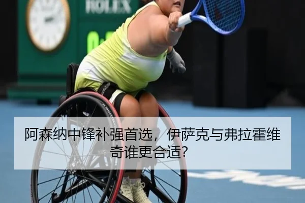 阿森纳中锋补强首选，伊萨克与弗拉霍维奇谁更合适？